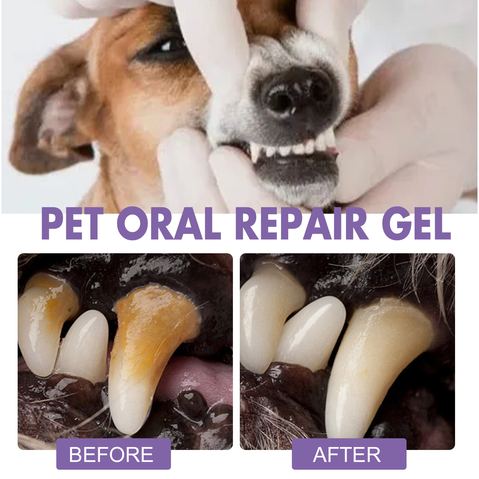 Pet Oral Onarım Jeli Yavru Tar - Teeth Whitening Essence incelemesi ve fiyatı